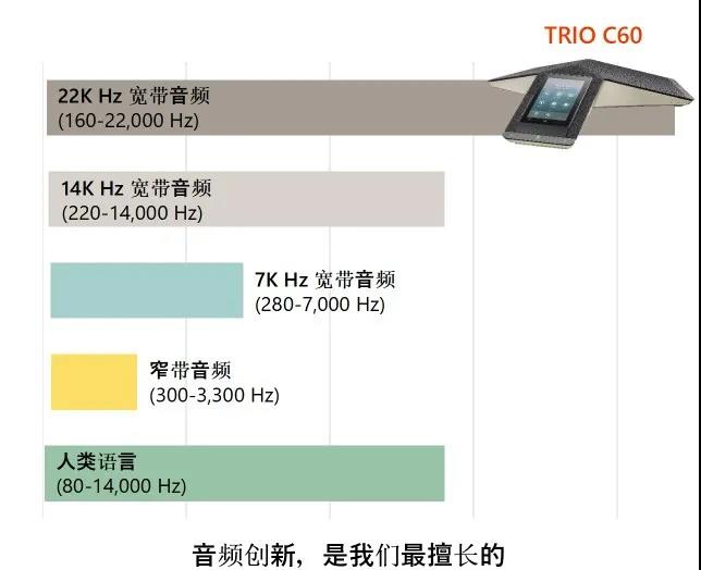 Poly Trio C60